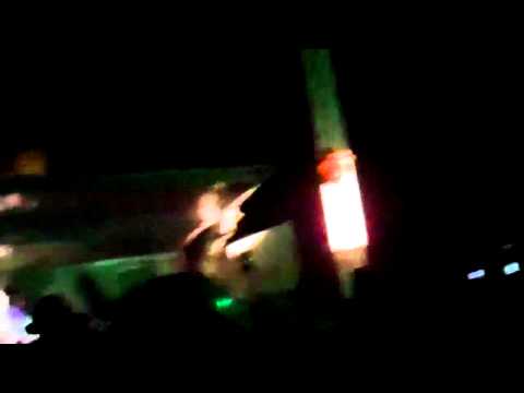 A Ginormous Ceramic Flea Drops In Eastover, NC